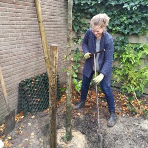 tuinontwerper stadstuin kleine tuin Amsterdam