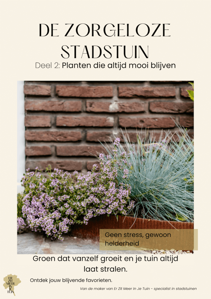 Ebook Planten die altijd mooi blijven