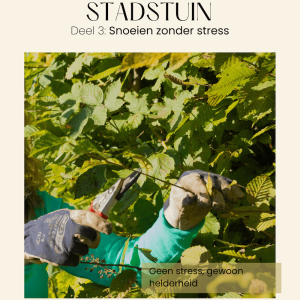 Deel 3 ebook - Snoeien zonder stress