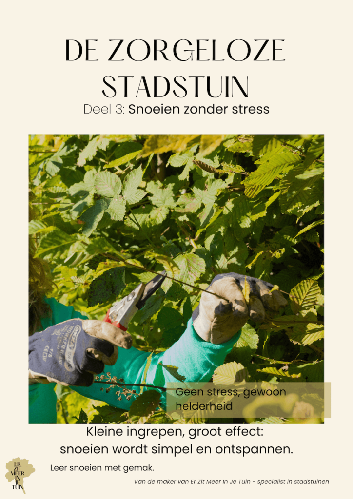 Deel 3 ebook - Snoeien zonder stress
